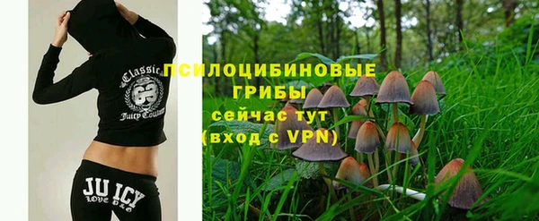 соль ск Горнозаводск