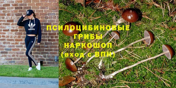 соль ск Горнозаводск