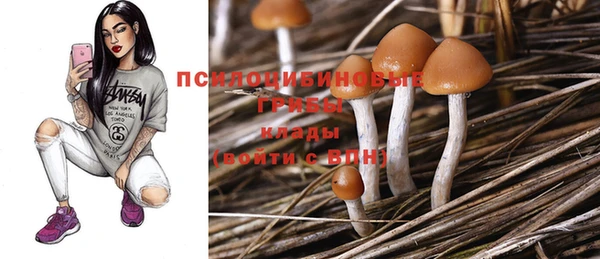 соль ск Горнозаводск
