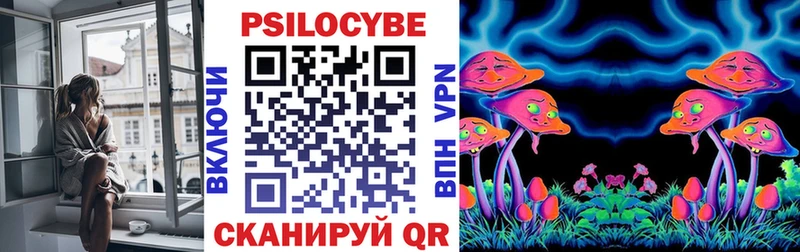 Псилоцибиновые грибы Psilocybe Володарск